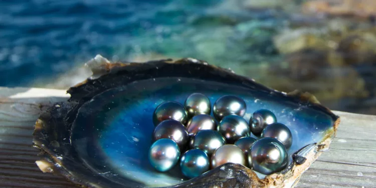 Pearls