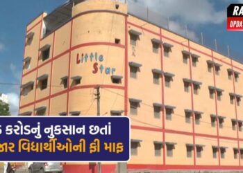 Little Star School