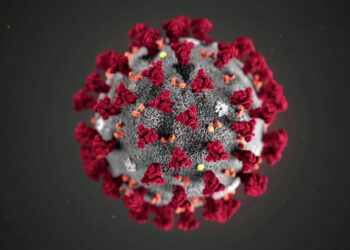 Virus Wave