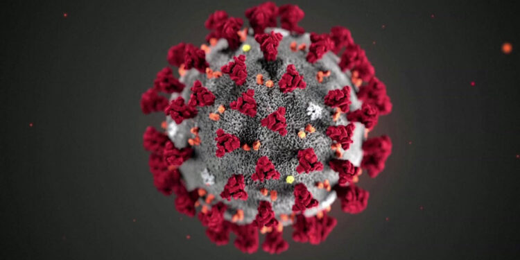 Virus Wave