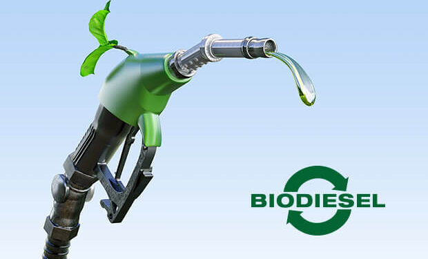 Bio Diesel