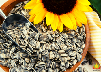 Sunflower Seeds