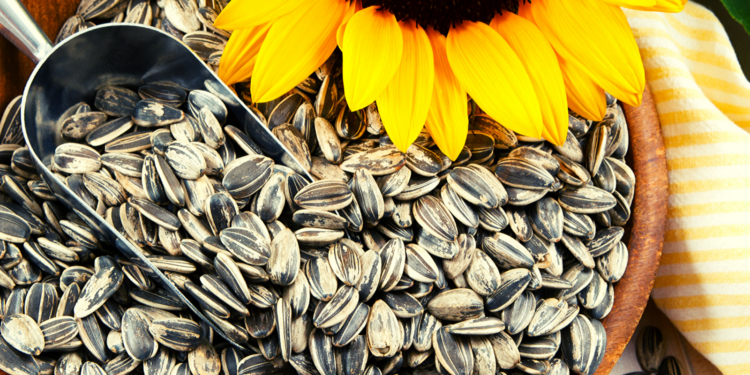 Sunflower Seeds
