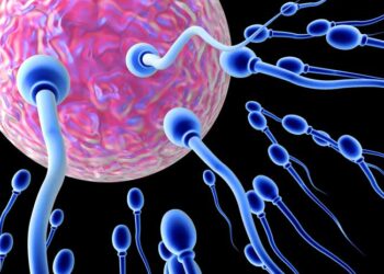 Birth Control