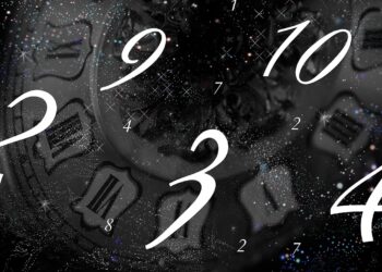 Birth Number