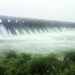 Bhadar Dam 1