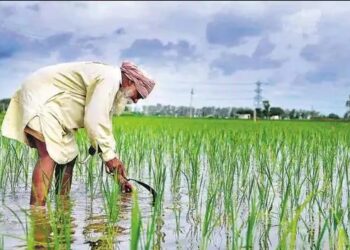 ગુજરાતના Farmers ને ટૂંક સમયમાં મળી શકે છે સારા સમાચાર, જુઓ ભૂપેન્દ્ર સરકારનો શું છે પ્લાન