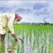 ગુજરાતના Farmers ને ટૂંક સમયમાં મળી શકે છે સારા સમાચાર, જુઓ ભૂપેન્દ્ર સરકારનો શું છે પ્લાન