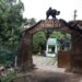 Polo Forest