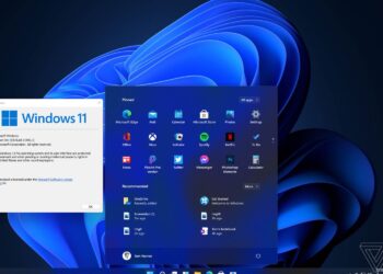 Windows 11