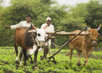 Farmer