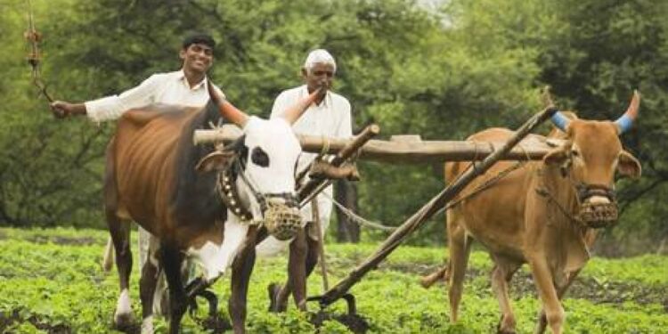 Farmer