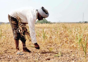 Gujarat Farmer