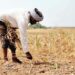 Gujarat Farmer