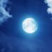 Sharad Purnima