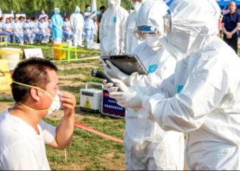 WHO - H5N6
