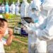 WHO - H5N6