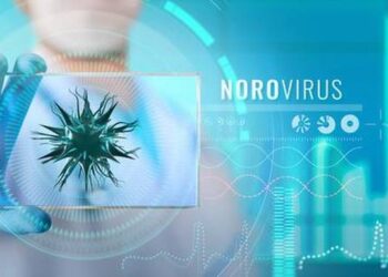 Noro Virus