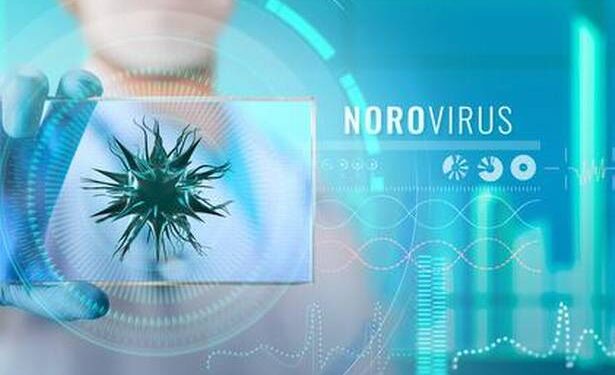 Noro Virus