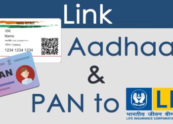 PAN-LIC લિંકની ગેરહાજરી માં તમે આવતા વર્ષે LIC IPO માં રોકાણ કરી શકશો નહી.
