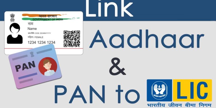PAN-LIC લિંકની ગેરહાજરી માં તમે આવતા વર્ષે LIC IPO માં રોકાણ કરી શકશો નહી.