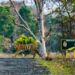 Safari Park