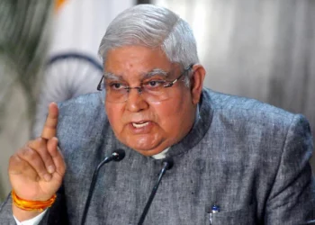 Vice President