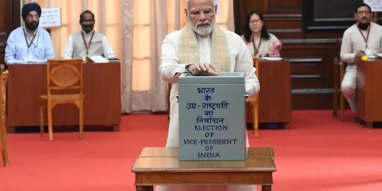 Vice President