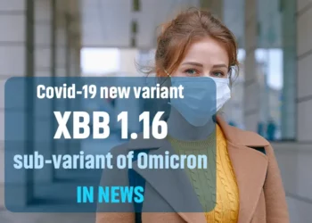 XBB 1.16