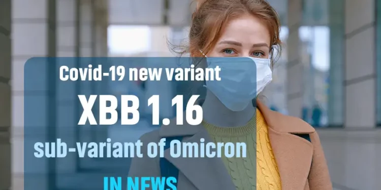 XBB 1.16