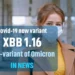 XBB 1.16